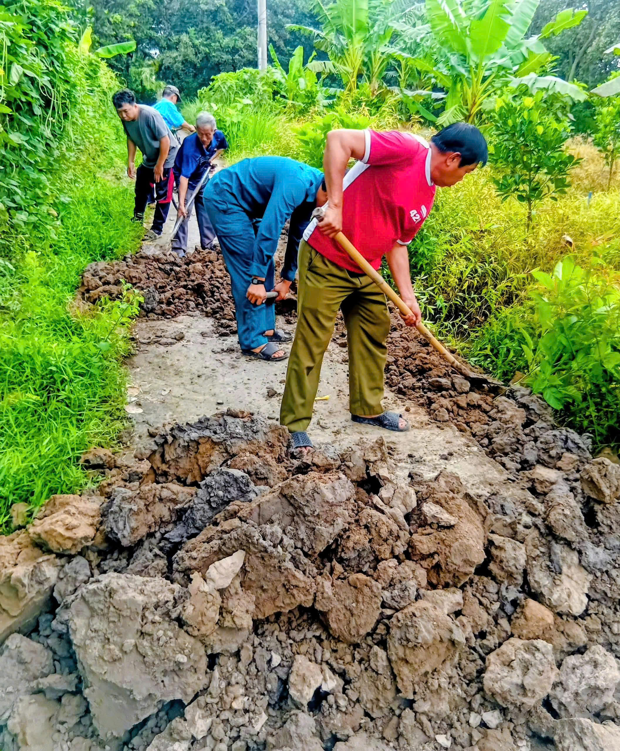 Ấp Vĩnh Bình ra quân chỉnh trang tuyên đường mới